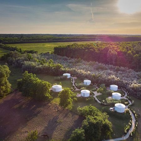 Homoki Lodge Bed & Beyond Glamping (Adults Only) Ruzsa エクステリア 写真